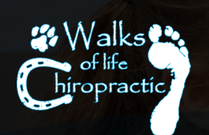 Walks of Life Chiropractic